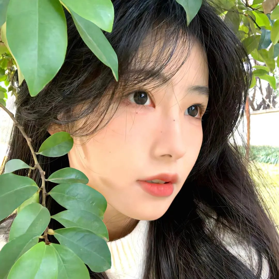 红衣谍影
