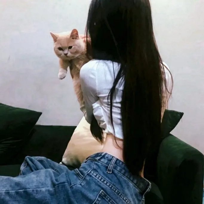 拿破仑先生